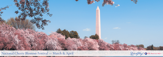 8 Beautiful Facts About Washington's Cherry Blossoms
