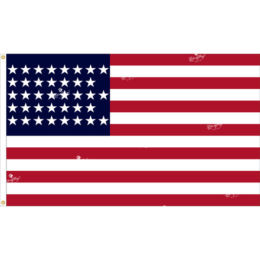 38 Star Outdoor Historic U.S. Flags