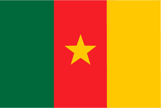 Cameroon Outdoor Flags