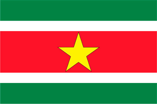 Suriname Outdoor Flags