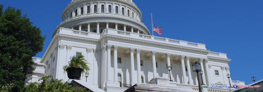 The Ultimate Guide Flying the United States Flag at Half-staff