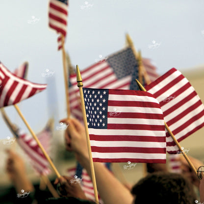 American Stick Flags - Economy