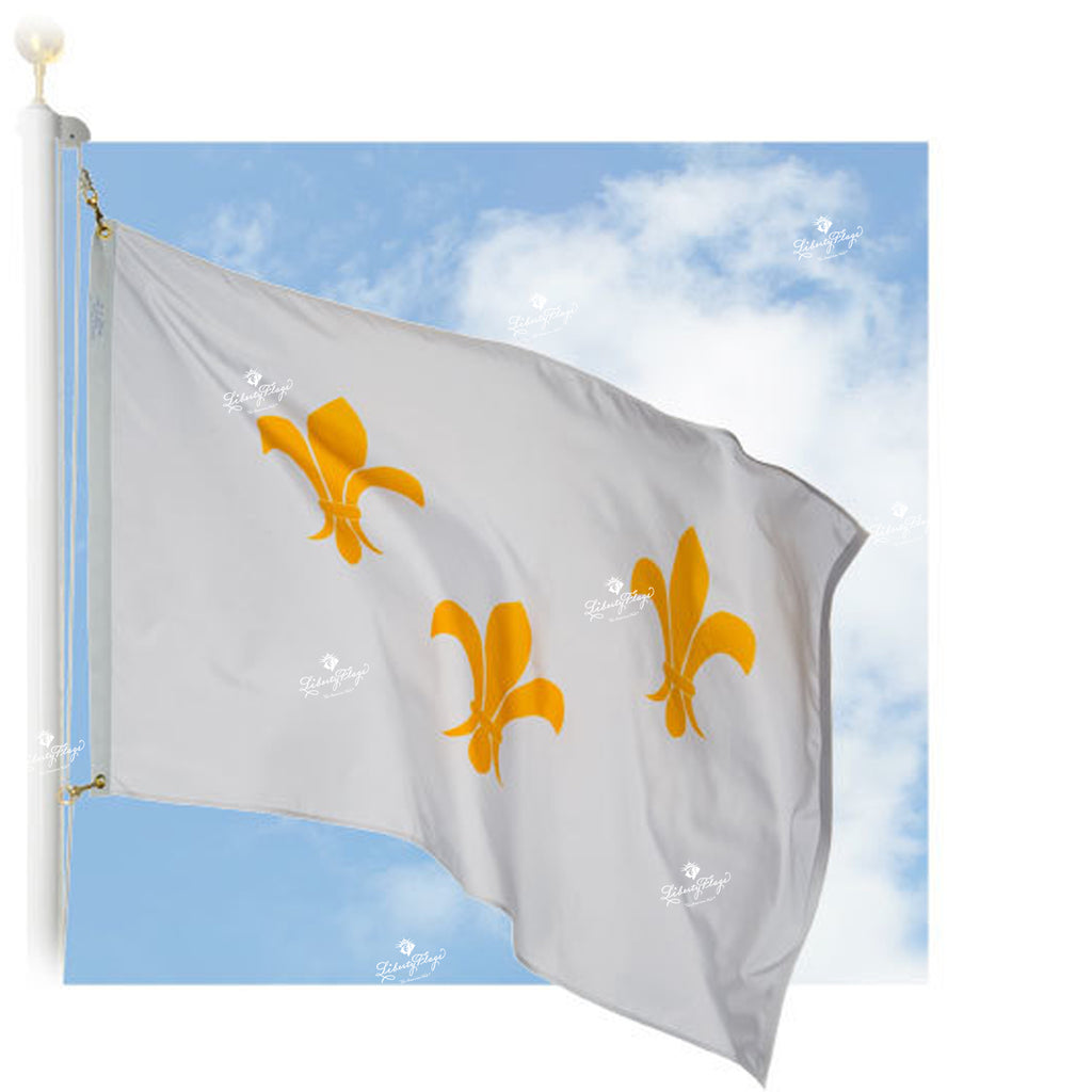Fleur-de-lis Flag