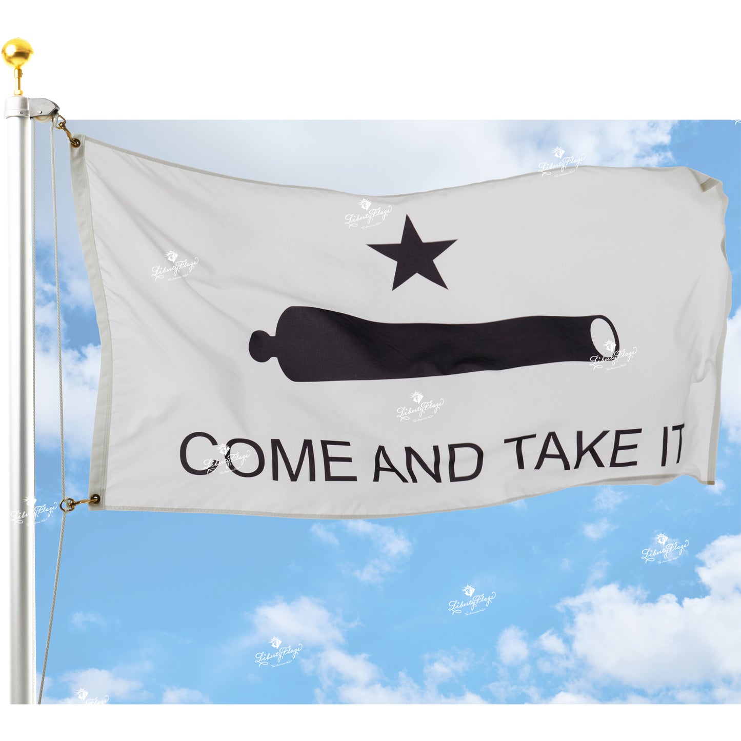 Gonzales Outdoor Historic Flags