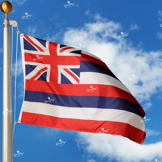 Hawaii Polyester Outdoor Flags