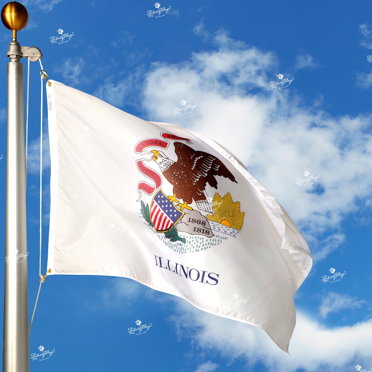 Illinois Polyester Outdoor Flags