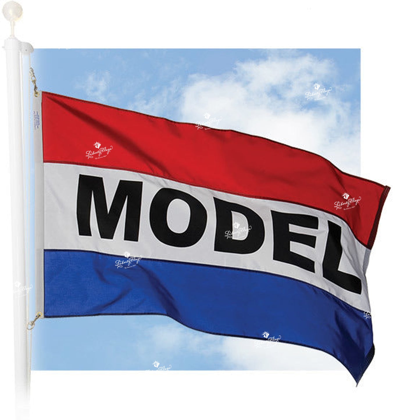 Message Flags - Model