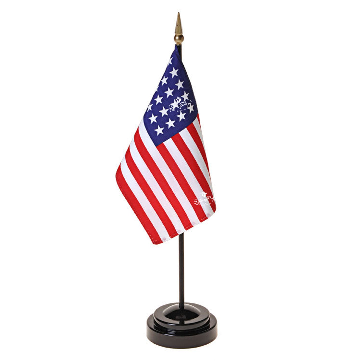 U.S. 20 Star Small Historic Flags