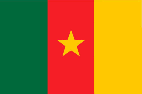 Cameroon Ceremonial Flags