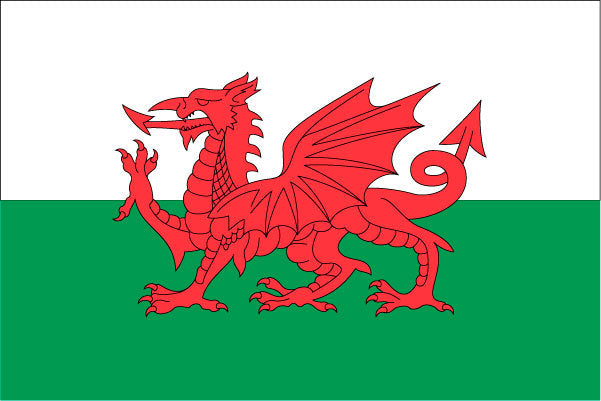Wales Outdoor Flags